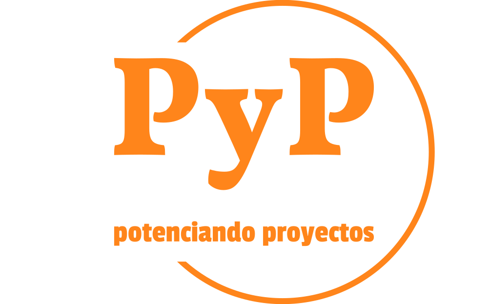 PyP Soluciones Logo